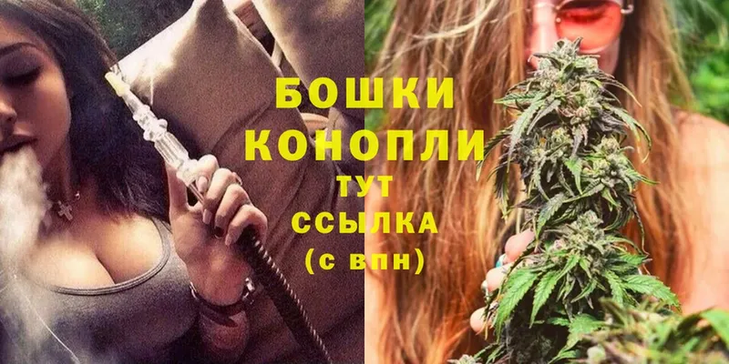 MEGA ССЫЛКА  Бор  Шишки марихуана THC 21% 